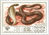 #4626-4633 Russia - Protected Fauna (MNH)
