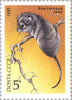 #5388-5392 Russia - Endangered Wildlife (MNH)