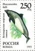 #6184-6191 Russia - Wildlife (MNH)