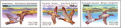 #6284-6286 Russia - Ducks (MNH)