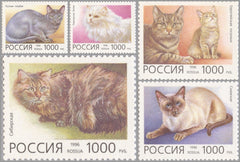 #6307-6311 Russia - Domestic Cats (MNH)