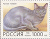 #6307-6311 Russia - Domestic Cats (MNH)