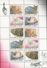 #6311a Russia - Domestic Cats, Sheet of 8 (MNH)
