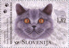 Slovenia - 2020 Cats, Set of 3 (MNH)