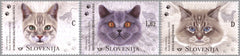 Slovenia - 2020 Cats, Set of 3 (MNH)