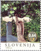 #1034-1036 Slovenia - Old Grapevines (MNH)