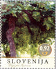 #1034-1036 Slovenia - Old Grapevines (MNH)