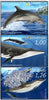 #1190-1192 Slovenia - Cetaceans (MNH)