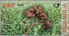 #1228-1232 Slovenia - Cereal Crops, Set of 5 (MNH)