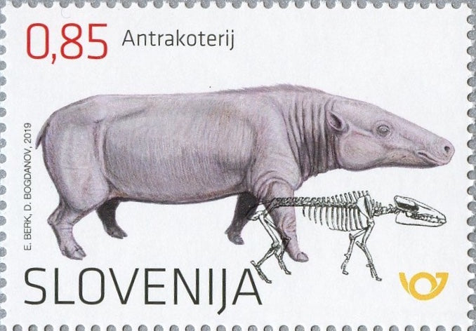 #1325 Slovenia - Fossil Mammals: Anthracothere (MNH)