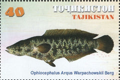 #155-158 Tajikistan - Fish, Set of 4 (MNH)