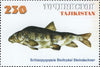 #155-158 Tajikistan - Fish, Set of 4 (MNH)