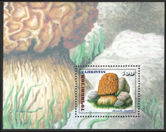 #154 Tajikistan - Mushrooms S/S (MNH)