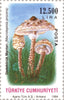 #2613-2616 Turkey - Mushrooms (MNH)