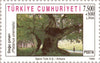 #B243-B244 Turkey - Trees (MNH)