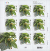 #1072-1075 Ukraine - Vegetables, 4 M/S (MNH)