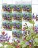 #1159-1162 Ukraine - Flowers, 4 M/S (MNH)
