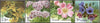 #1159-1162 Ukraine - Flowers, Set of 4 (MNH)