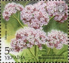 #1159-1162 Ukraine - Flowers, Set of 4 (MNH)
