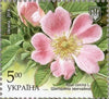 #1159-1162 Ukraine - Flowers, Set of 4 (MNH)