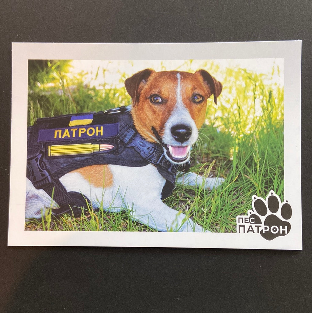 Ukraine - 2022 "Patron" - Minesweeper Dog -  Postcard  (MNH)